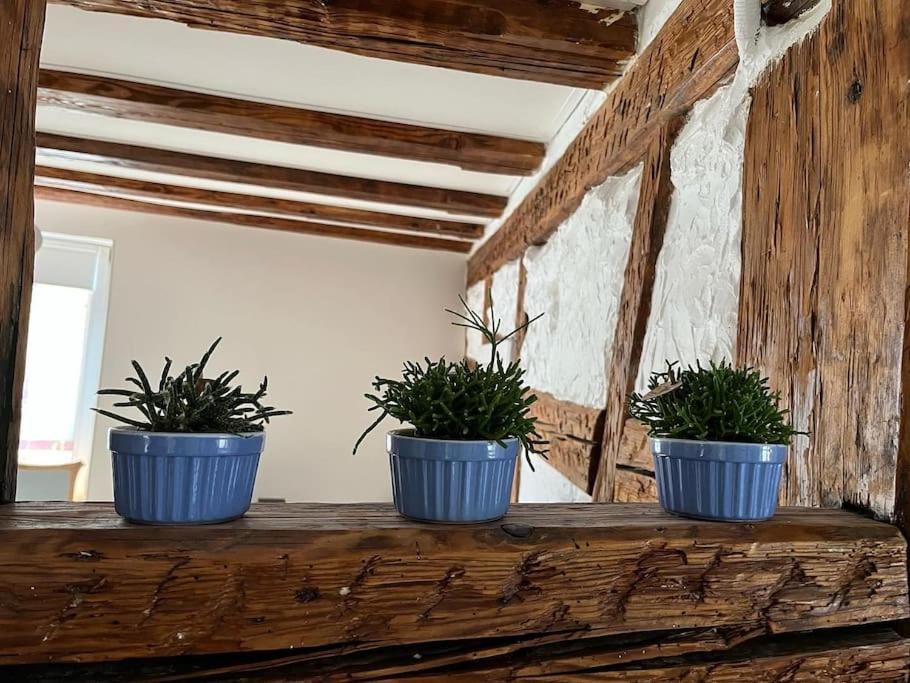 Nouvel Appartement, Le Colombage Heureux Sélestat Exteriör bild